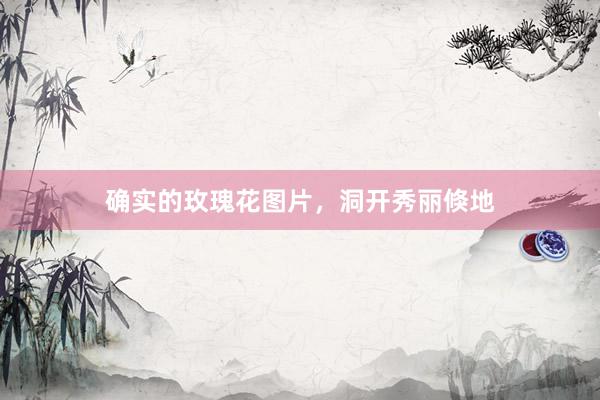 确实的玫瑰花图片，洞开秀丽倏地